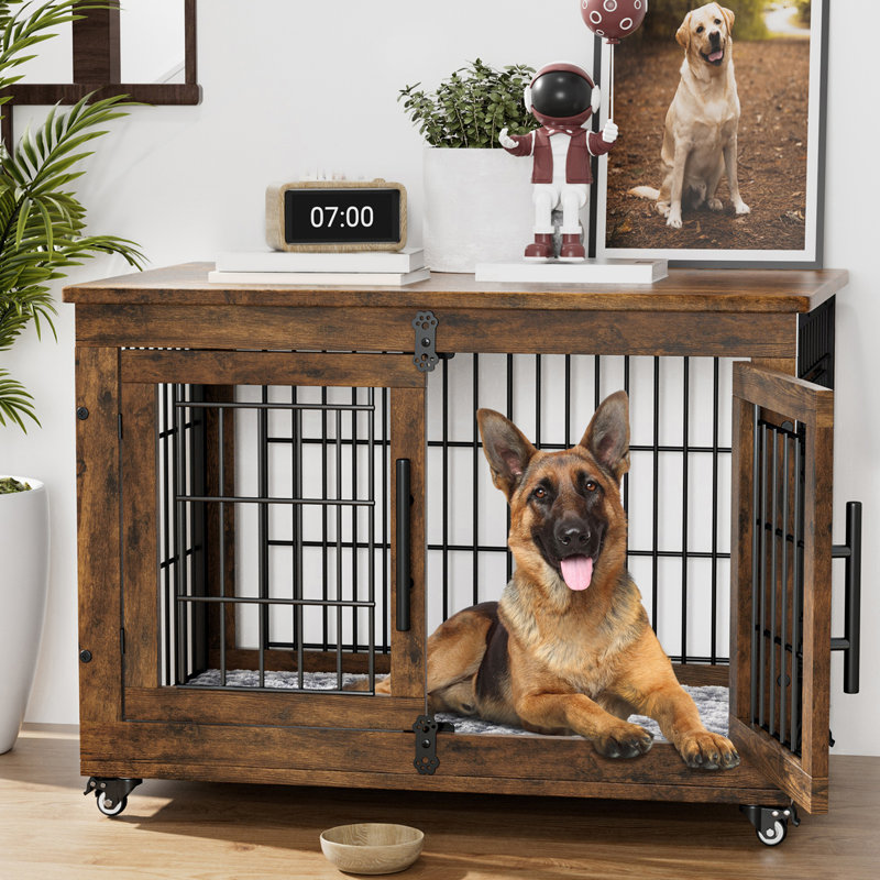 Indoor dog box shop